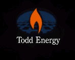 todd energy